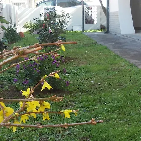 Panzió Florinda Viareggio