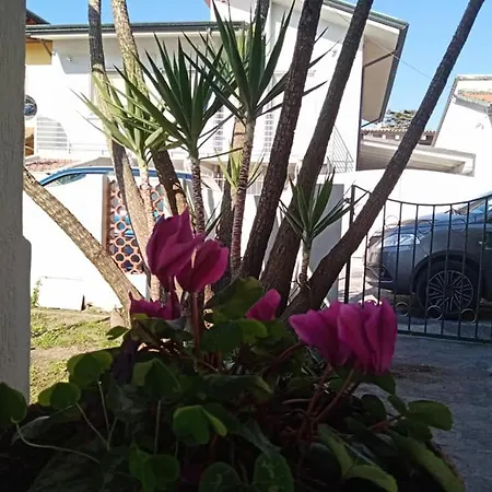 Bed and Breakfast Florinda